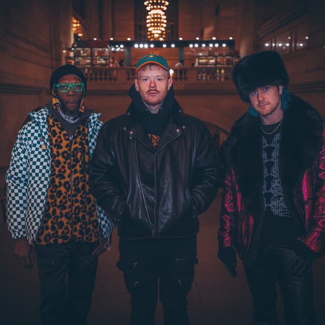 Too Many Zooz