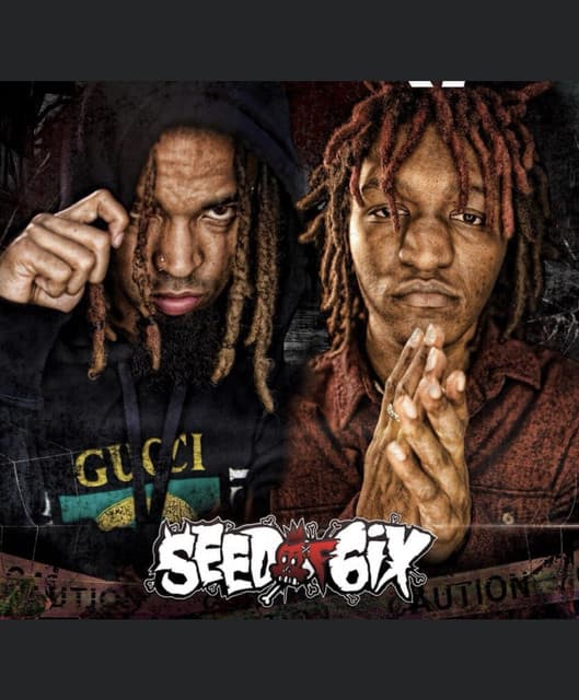 Seed of 6ix