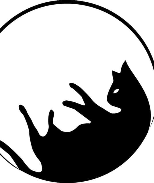 Mooncat