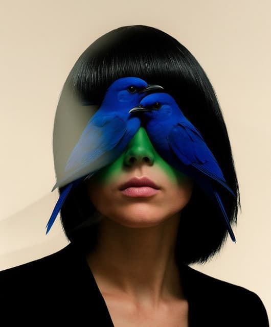 88Birds