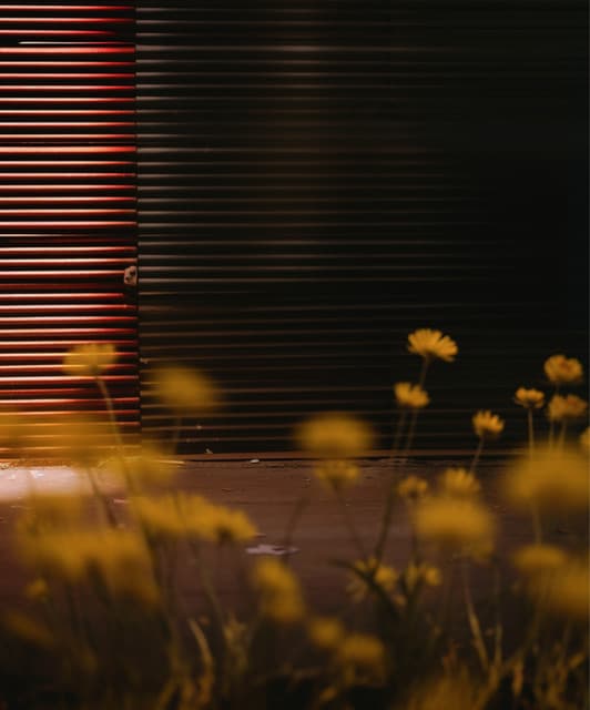 Abstract Museum