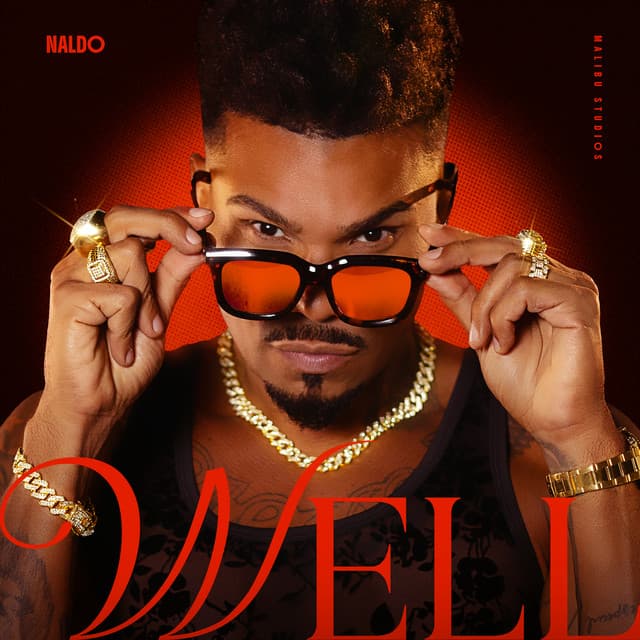Festinha na Laje cover art