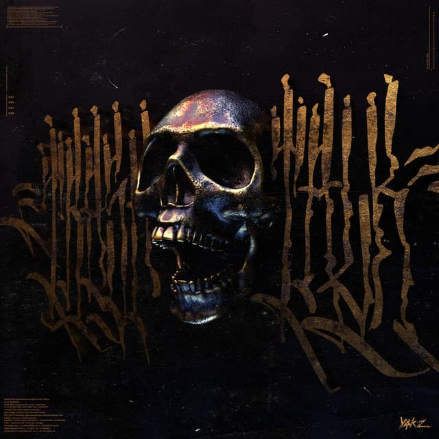 Designated Dub cover art