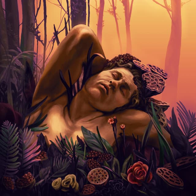 Dolos cover art