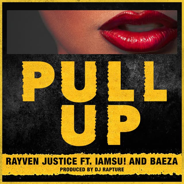 Pull Up cover art
