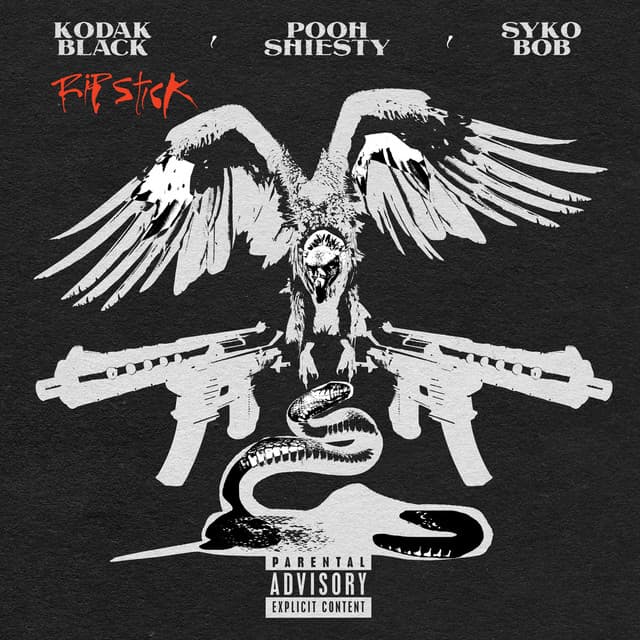 Rip Stick (feat. Pooh Shiesty & Sykobob) cover art