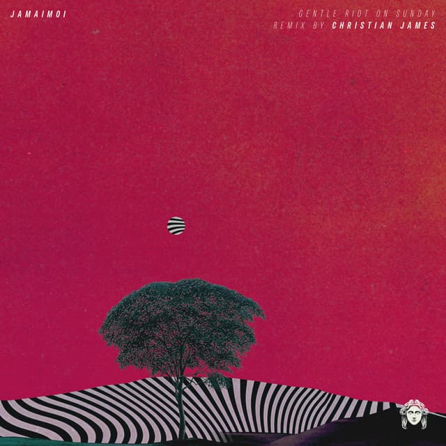 Gentle Riot On Sunday cover art