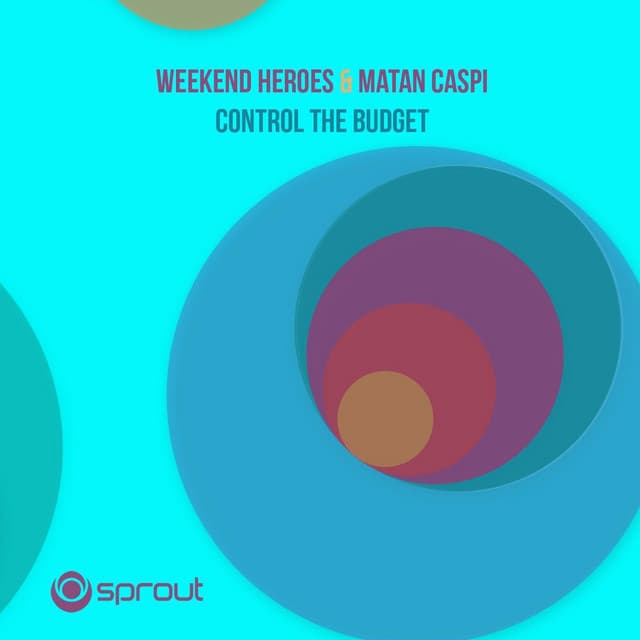 Control The Budget - Alex Stein Remix cover art