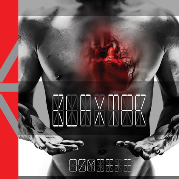 Nu Niet meer cover art