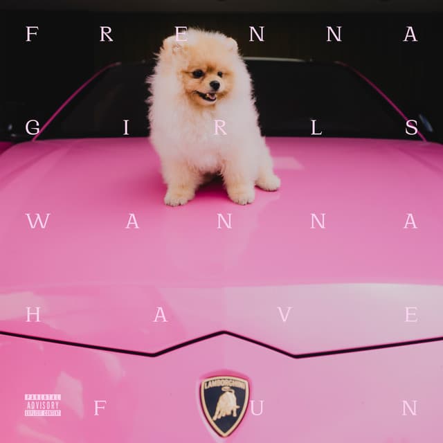GIRLS WANNA HAVE FUN cover art