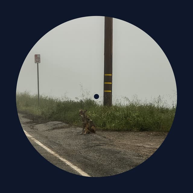 14 minutes cover art