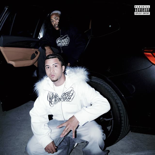 ESSA PRR É MASCOTIN cover art