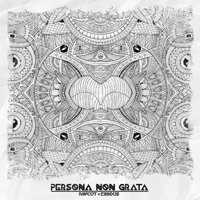 Persona Non Grata cover art