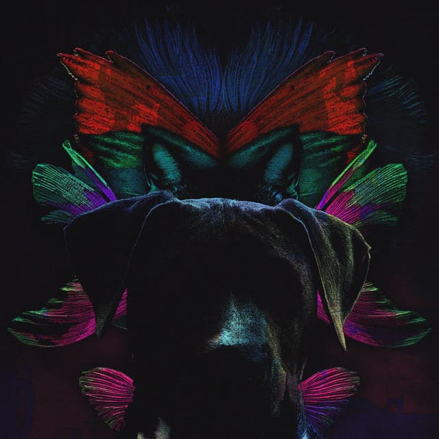 Spirit Lights cover art