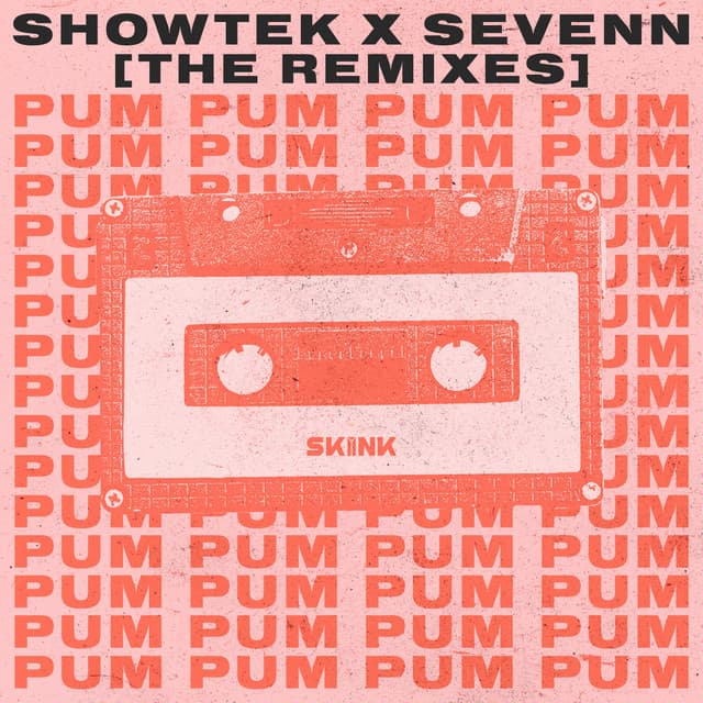 Pum Pum - Diverse Bind Remix cover art