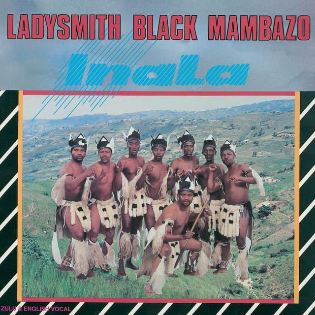 Ngothandaza Njalo (I'll Keep on Looking) cover art