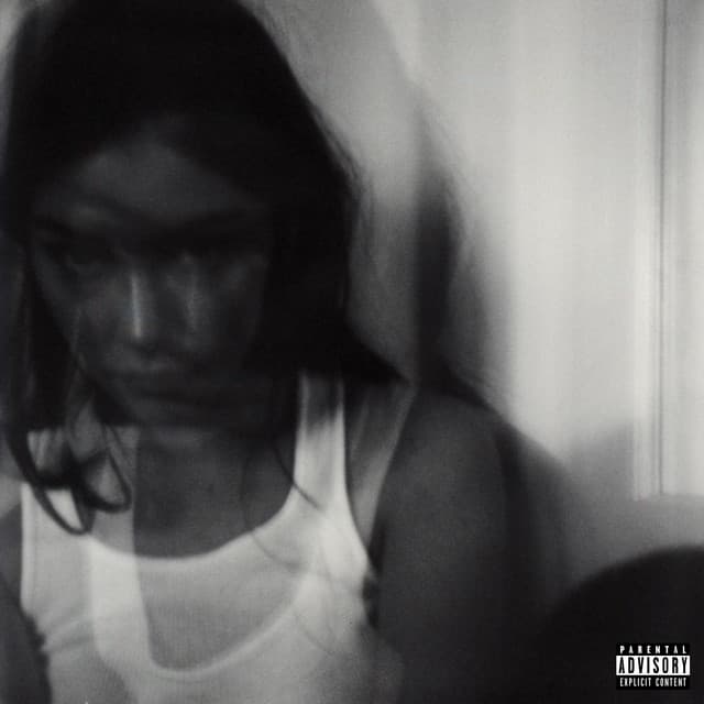 I know it won't work cover art