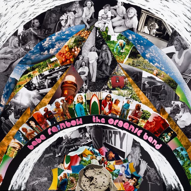 The Organic Band cover art
