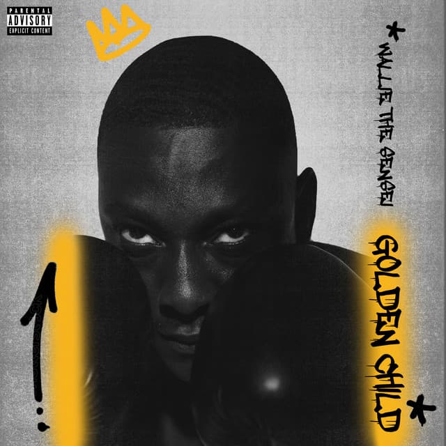 03 Flow cover art