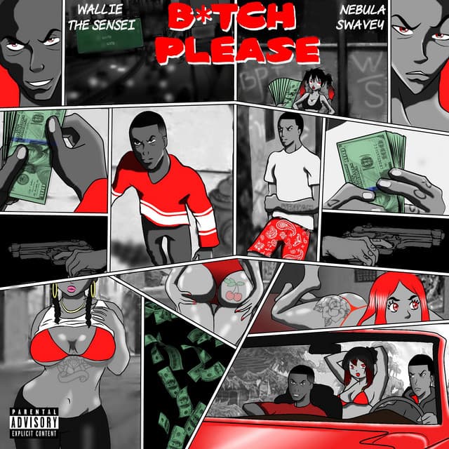 Bitch Please cover art
