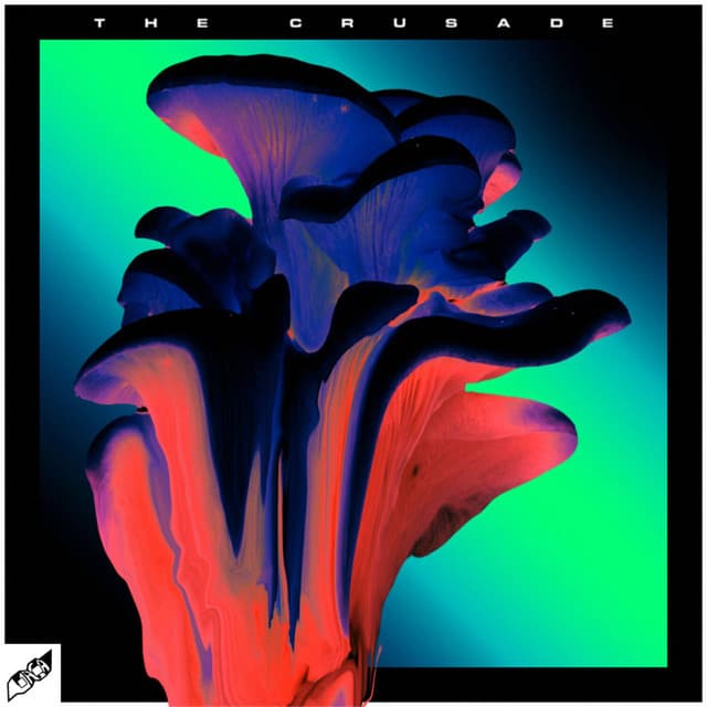 Plum cover art
