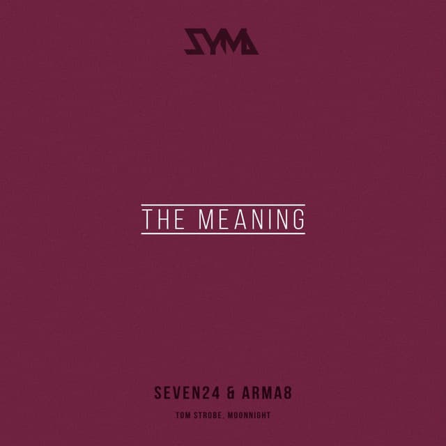 The Meaning - Moonnight Chillout Remix cover art
