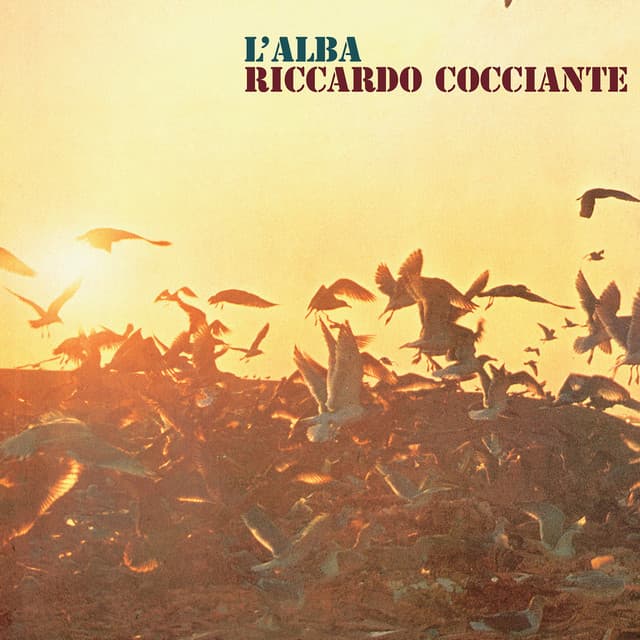 Era già tutto previsto cover art