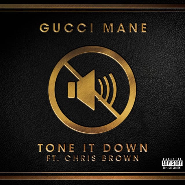 Tone It Down (feat. Chris Brown) cover art