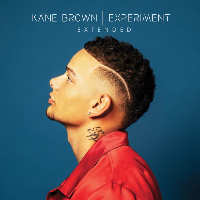 Experiment Extended cover art