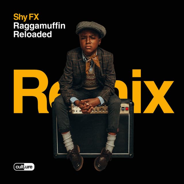 Raggamuffin (feat. Mr. Williamz) - Potential Badboy Remix cover art