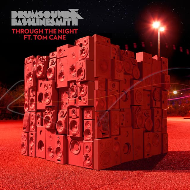 Through The Night - 501 Remix cover art