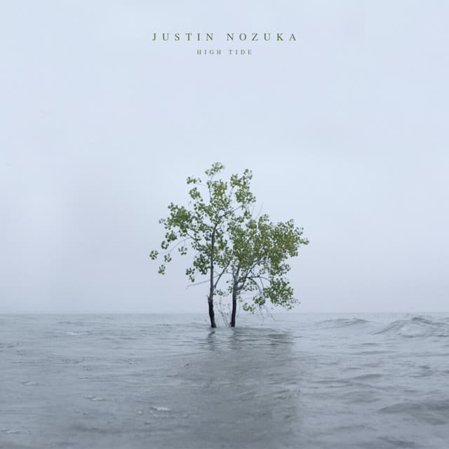 No Place in Mind cover art