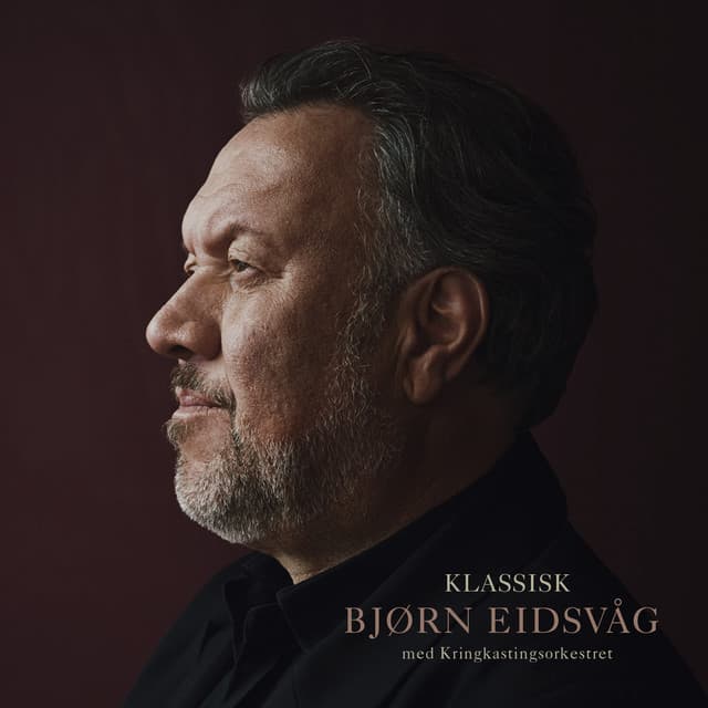 Floden (feat. Elvira Nikolaisen) cover art