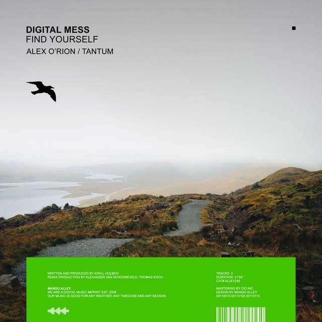 Find Yourself - Alex O'Rion Remix cover art