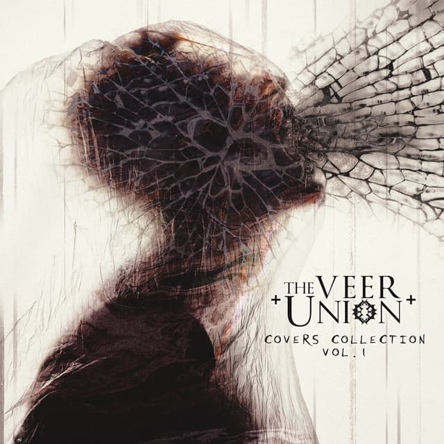 Covers Collection, Vol. 1 cover art