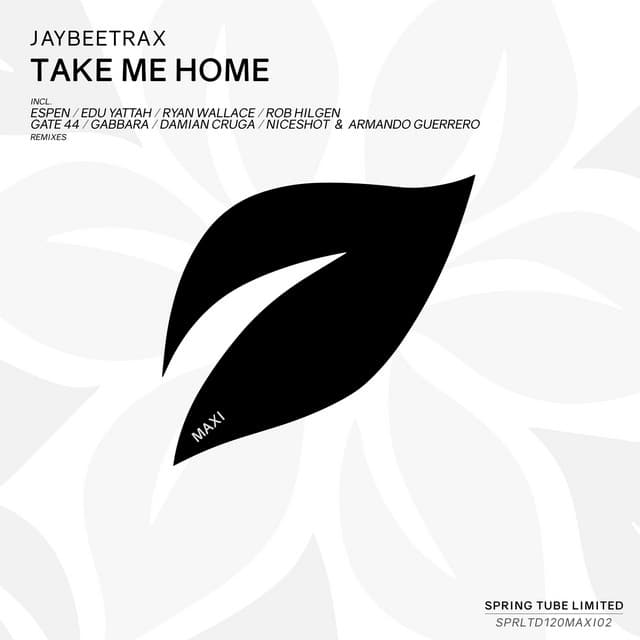 Take Me Home - Original Mix cover art