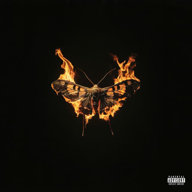 Rebound Beckies cover art