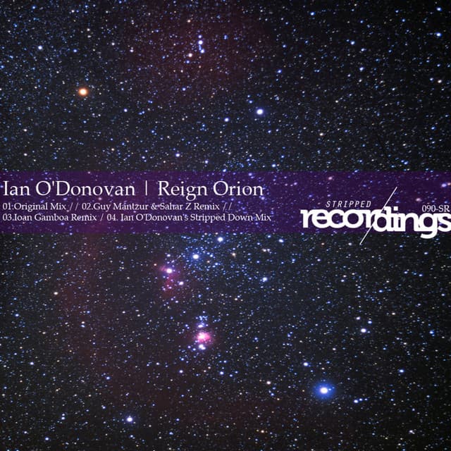 Reign Orion - Ioan Gamboa Remix cover art