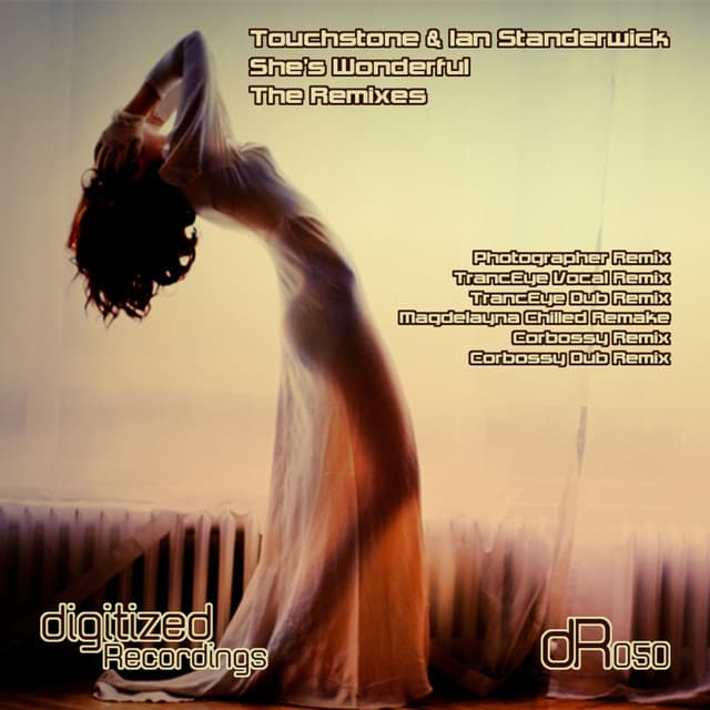 She's Wonderful - Photographer Remix cover art