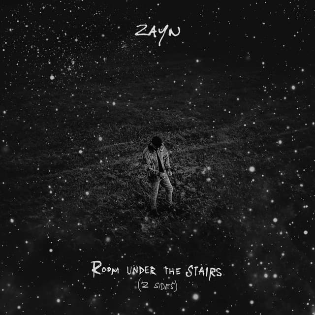 ROOM UNDER THE STAIRS (Z SIDES) cover art