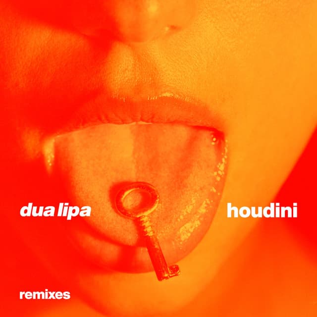 Houdini (Remixes) cover art