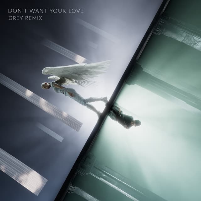 Don't Want Your Love - RØZ Remix cover art