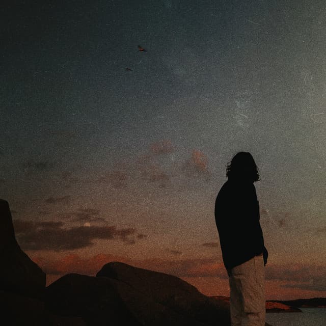 If You Had to Ask cover art
