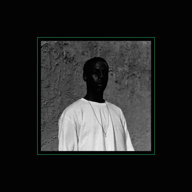 Gully (Spank Rock. With You.) cover art