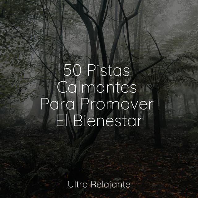 Meditação Clube