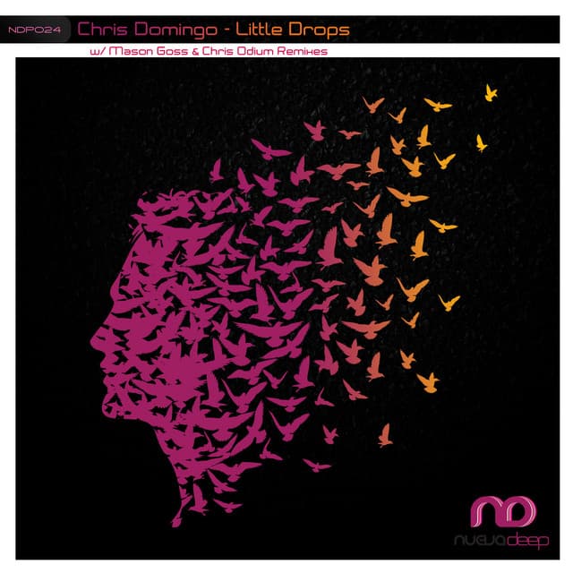 Little Drops - Chris Odium Remix cover art