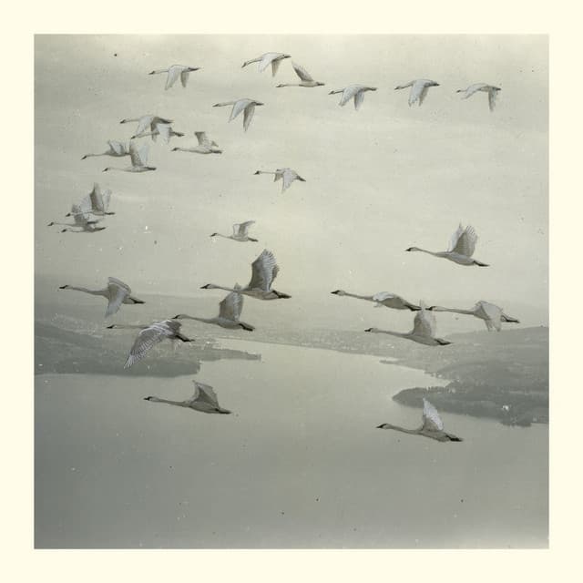 And the World Was Gone - Roly Porter Remix cover art