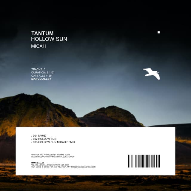 Hollow Sun cover art