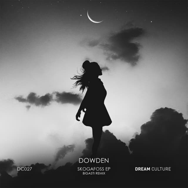 Skogafoss - Bigasti Remix cover art