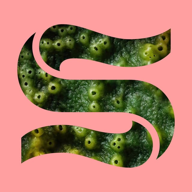 Neptunes - Ela Minus For The Floor Remix cover art